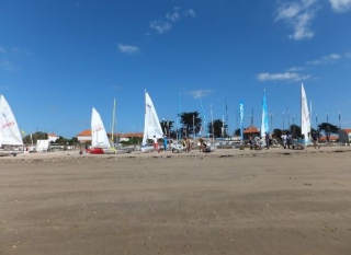  Las fuerzas implicadas 